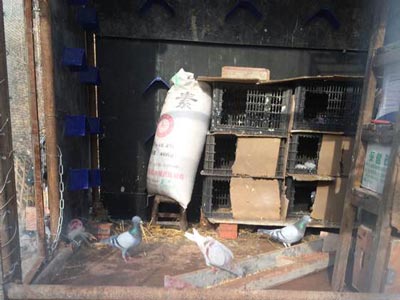 ���ཨ���� �ô��м���(ͼ)