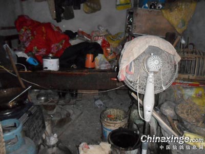 �߸������ۣ��˸뼦Ѽ�� ����һ����(ͼ)