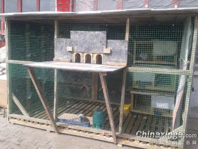 ���ֽ��������ס��̹��(ͼ)