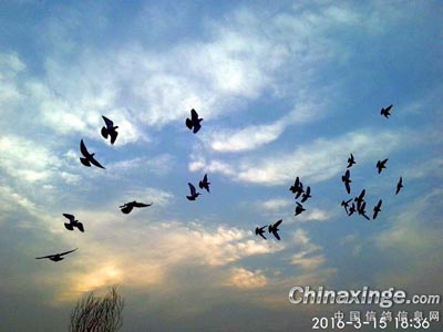 ��ѧ����ְ���Ϊ����������