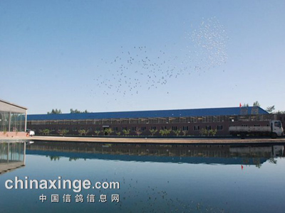 �й�������ҵ�������ǵ�δ�������