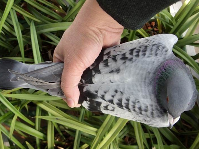 ����֮�������˽�ද��