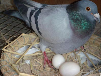 û���ౣķ�� ���ʼ��ѵ�զ������