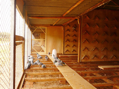 �͹�����⼱����������Ī����Ծ����