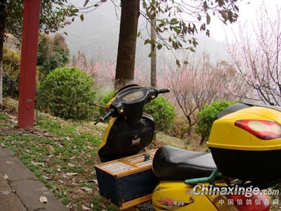 С���ѵ�������;�������(ͼ)