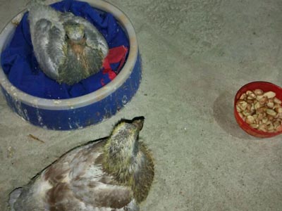 �ν⿩������һ���־ʹ�㣡(ͼ)