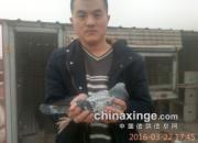 �ھ�����ֱ��û��ʾ ��ṫ��͸�����(ͼ)
