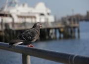 ����׬Ǯ�Ƚ��� ������ȴΪ�θ��ǣ�