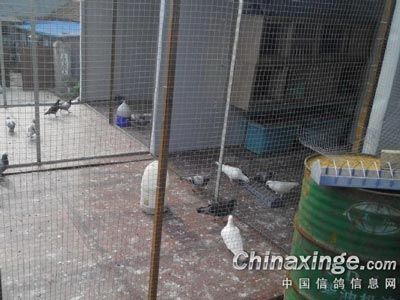 ����Ŀ�겻���� ��������һλ(ͼ)