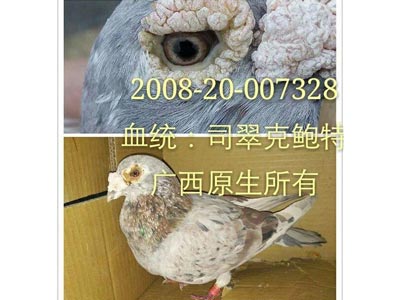 �����ϵ���ǰ�����������ָ�(ͼ)