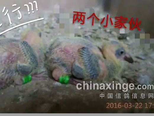 �����ѿ�ѵ �ҼҸ���׻�(ͼ)