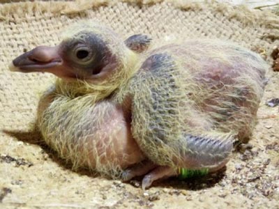 02�����۳ɹ����׸� �����رȻ�(ͼ)