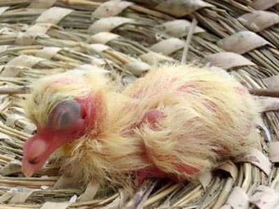 û���¶�ͷ�´� ��һҹ����������