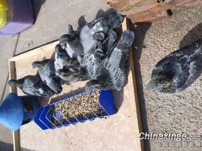 2016�Ĺھ��ξ��ڴ�(ͼ)