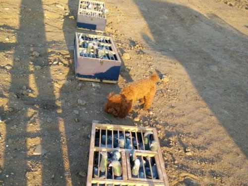 ѵ�ź����ࣺ����̩���賿2����(ͼ)