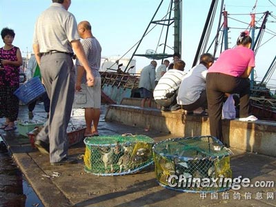 ̨�뷢���ѣ�û�ø�˵����Ӳ��(ͼ)