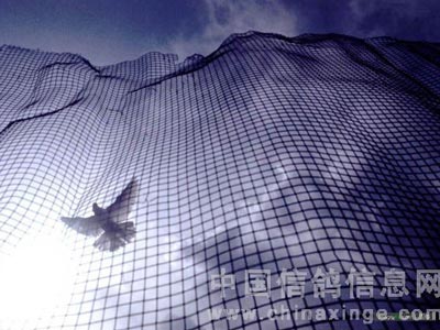 �������뼾 ��������ʱ