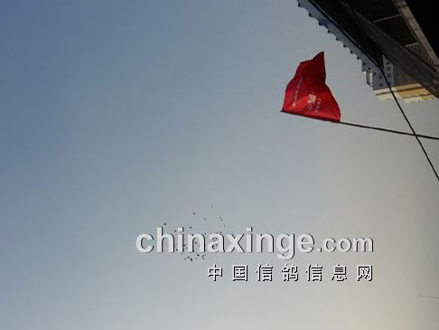 ���������㽫�����ߣ�(ͼ)