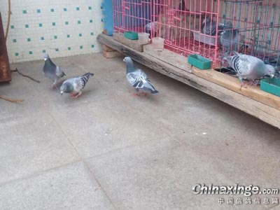 ������ô�� �ɼ�һ����ˣ�(ͼ)