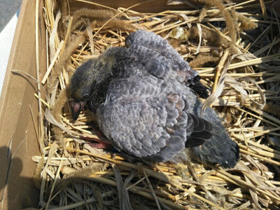 ��ͷ��β�ڳ� ����ɶ�룿(ͼ)