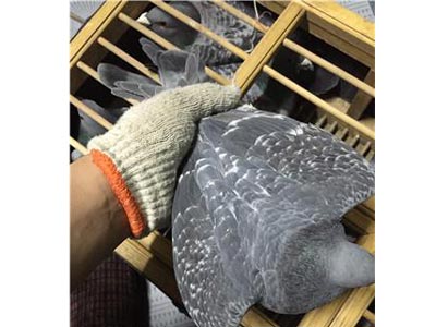 ȥ������ʧ�� ����������(ͼ)