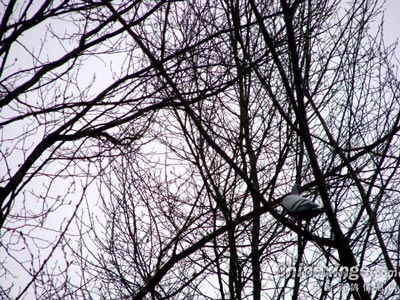 ���۽𾦣��ⳡѵ���治������(ͼ)