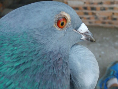 �����͵ĸ� �û���������(ͼ)