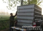 �ӱ��Ϻ�400����ھ����ٸߴ�1710��(ͼ)