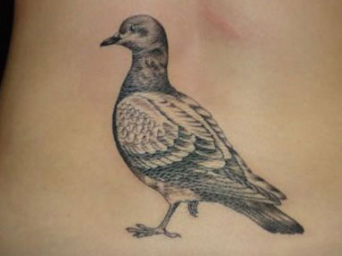 ���������ף��Ҹ����ӡ�������