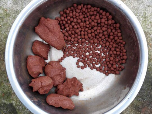 ʡǮ���ã���н����Ӫ����(ͼ)