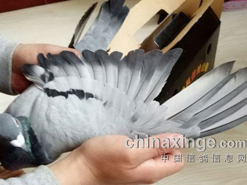 ����̽���е��㣺��ϴ���(ͼ)