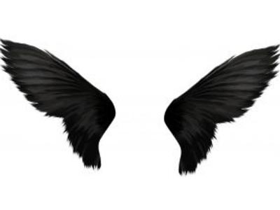 ɽ�����գ�������������ɫ����һ �鳲�ʽ�5% 