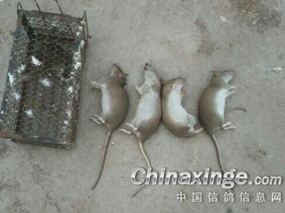 ���������� ����ⲻ���ݣ�(ͼ)