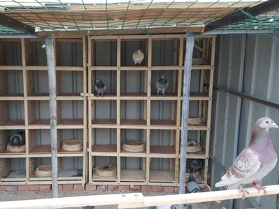 155�����40��������(ͼ)