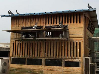 ����ͬѧ���� С���ӳ��ú�OK(ͼ)