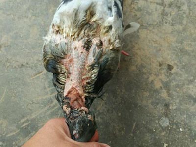 ��ʶ���Ӿ�����������(ͼ)