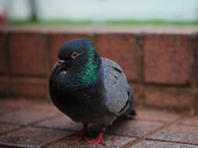 ���Ǻͽ���Ե ���״Ƹú�ȥ�δӣ�