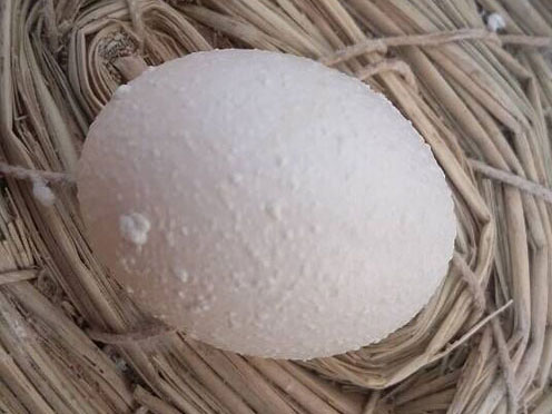 û�����ˣ�Ϊ��ǵ�����ķ��