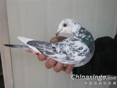 �кû��� ����Χ��(ͼ)