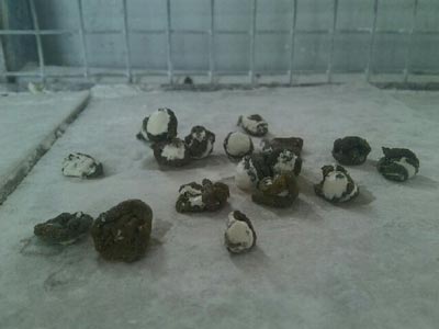 ����������˵ġ�����Ʒ��(ͼ)