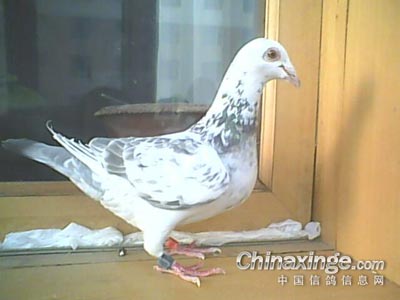 �������� ���Ҳ԰���ʿ���ָ�(ͼ)