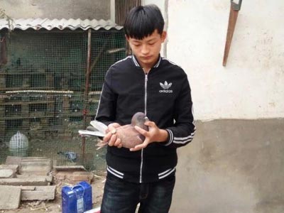 ������ �������޹�(ͼ)