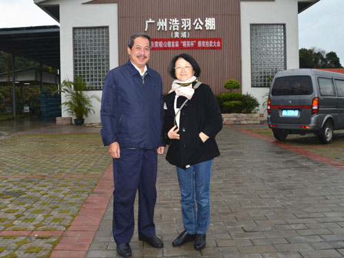 ר������磺�¸߶� �����(ͼ)