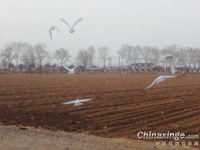 �ɼ����ǹ����� �����������ѵ(ͼ) 