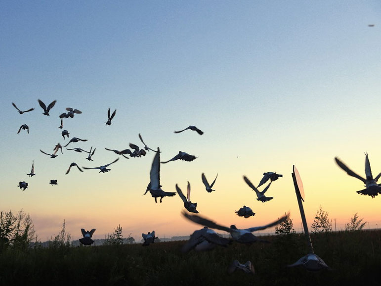 ���ۣ�������ȫ�������������ڡ��ܻ��ƣ�