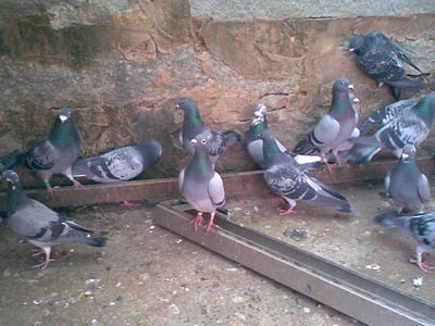 ����һ�𣺴��ڸ����зֵ�һ���