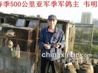 陋舍夺500公里亚季军 五羽进前十(图)
