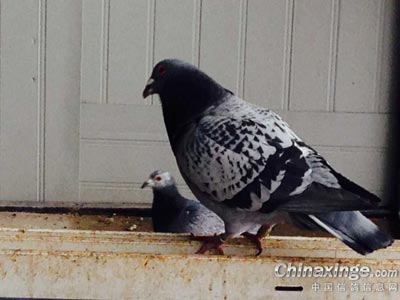 �벻���ף�������ѵ����ëȫ��ʪ(ͼ)