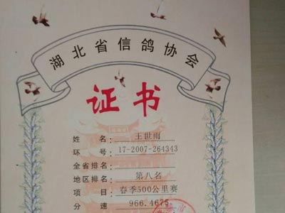 �����£�ɹɹ�ҵ��ϻ���(ͼ)