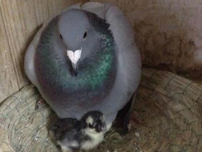 ĸ�������ġ���(ͼ)